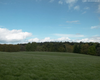 Field trees blue sky clouds 3 - ultra wide angle free wallpaper for desktop