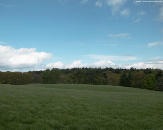 Field trees blue sky clouds 4 - ultra free wallpaper