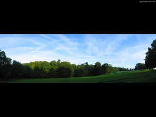 Field trees blue sky clouds - plein air free wallpaper for desktop