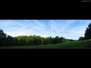 Field trees blue sky clouds 5 - the sky above free wallpaper