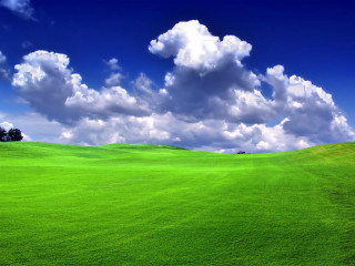 Green field lone tree cloudy 2 - far free wallpaper