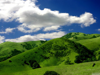 Green mountain clouds cows grazing - a few cow free wallpaper