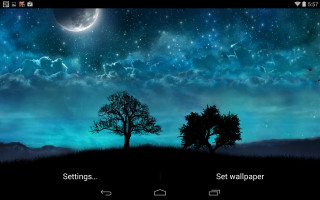 Night sky stars tree full - a few bird free wallpaper for desktop