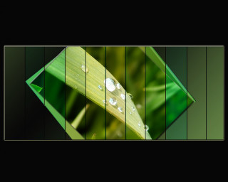 Green leaf water drops black 2 - drop of water free wallpaper