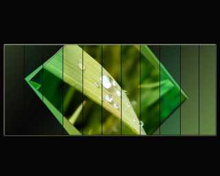 Green leaf water drops black 3 - drop of water free wallpaper for desktop