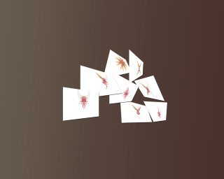 Cards table brown background red 3 - the front free wallpaper for desktop