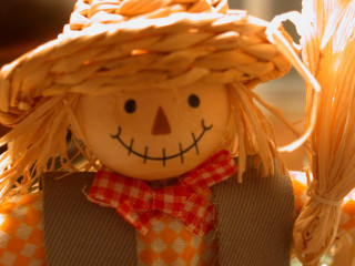 Scarecrow doll strawhat redbowtie checkerscarf - shallow free wallpaper for desktop