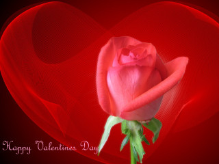Red rose heart valentines romantic - a happy valentines day free wallpaper