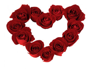 Heart red roses white background 3 - anne rigney free wallpaper