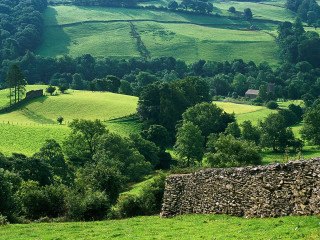 Green field stone wall trees 3 - a green hillside free wallpaper