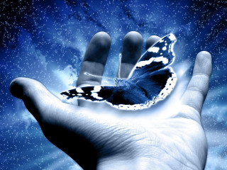 Hand butterfly air stars blue - a hand holding free wallpaper