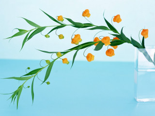 Vase flowers green stem blue - a blue wall free wallpaper