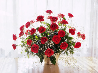 Vase red roses table window 2 - a curtain behind free wallpaper