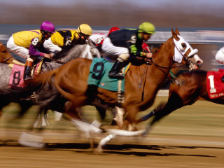 Horses racing track jockeys numbers - ancell stronach free wallpaper