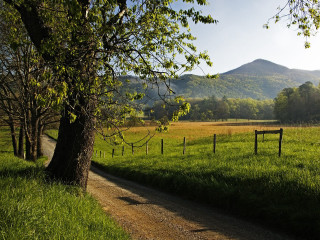 Dirt road grassy field fence 4 - a dirt road free wallpaper