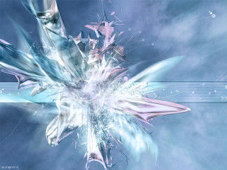 Flower blue background white border 5 - image of a flower free wallpaper for desktop