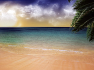 Beach palm tree blue ocean 6 - the horizon free wallpaper for desktop