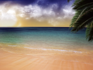 Beach palm tree blue ocean 9 - a few white cloud free wallpaper