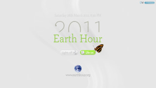 White background green black butterfly - butterfly free wallpaper