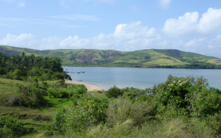 Lake green hills trees sunny 2 - lush green hill and trees free wallpaper