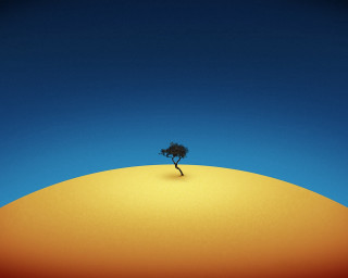 Lone tree hill blue sky 4 - global illumination free wallpaper for desktop