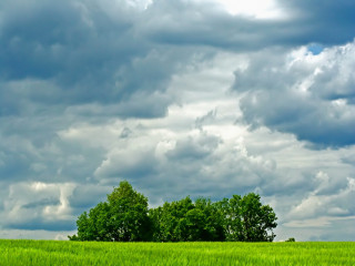 Green field trees clouds sky 2 - white cloud above free wallpaper