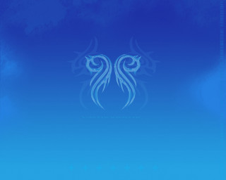 Blue background birds wings sky 2 - two bird free wallpaper