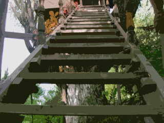 Group walking stairs woods trees - a set of stairs free wallpaper