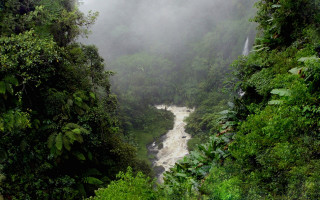 River jungle waterfall fog nature 4 - a waterfall in the background free wallpaper for desktop