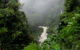 River jungle waterfall fog nature 5 - a waterfall in the background free wallpaper for desktop