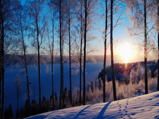 Snow hill trees sunset skier - hill free wallpaper