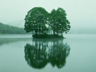 Trees water shoreline foggy sky - chen rong free wallpaper
