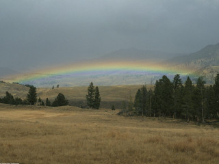 Rainbow field grass trees foreground - volumetric light free wallpaper