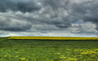 Field yellow flowers cloudy sky - far free wallpaper