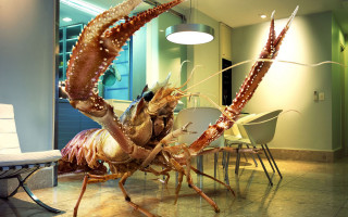 Large lobster standing table room - hyper real free wallpaper