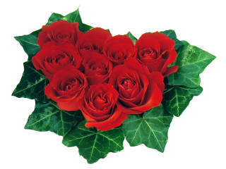 Red roses bouquet green leaves - red rose free wallpaper for desktop