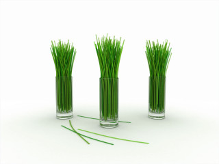 Three vases grass white surface 3 - a green stem free wallpaper