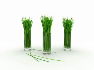 Three vases grass white surface 2 - a few green stem free wallpaper