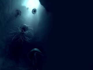 Jellyfish swimming dark ocean surface - the waters surface free wallpaper