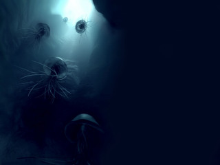 Jellyfish swimming dark ocean surface 3 - lovecraftian free wallpaper for desktop