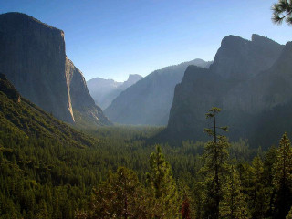 Valley mountains trees foreground scenic 2 - a view of a valley free wallpaper for desktop