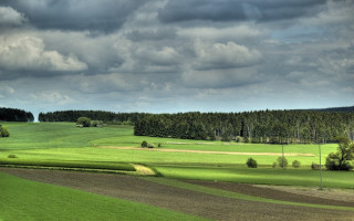 Field trees cloudy sky distant - landscape free wallpaper