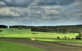 Field trees cloudy sky background - landscape free wallpaper