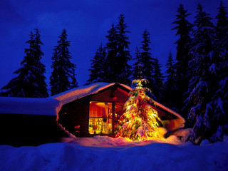 Lit christmas tree cabin snow 2 - naive free wallpaper