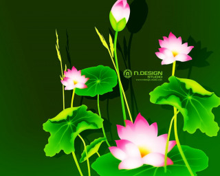 Green background pink flowers leaves 2 - pink flower and leaves free wallpaper