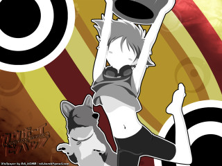 Woman cat hat dog holding - a cat free wallpaper