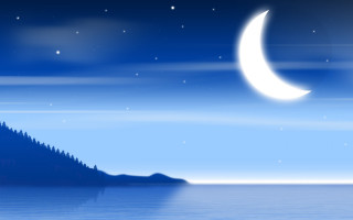 Night full moon tree hill - a night scene free wallpaper