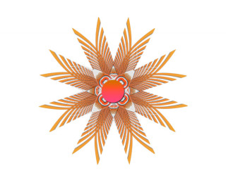 Red orange flower white center - orange leaf free wallpaper for desktop