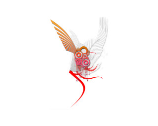 Bird red orange beak flying 2 - beak free wallpaper for desktop
