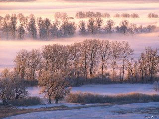 Foggy landscape trees road field 2 - eric deschamps free wallpaper